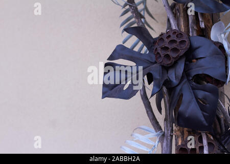 Monstera schwarze Blätter und im tropischen Stil gegen eine Wand, trendige Details im Innenraum Stockfoto