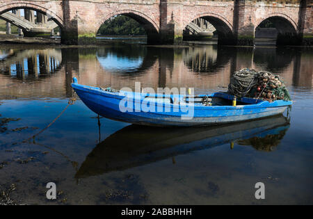 Gardo Lachsfang auf dem Tweed in Berwick unter der Alten Brücke Stockfoto