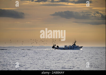 Fischerboote von Möwen im Sonnenuntergang im Mediterraneo Spanien Stockfoto