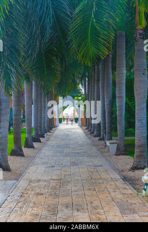 Eine Allee aus Palmen, der zum Strand führt ein Luxus Resort an der Riviera Maya in der Nähe von Tulum, Mexiko Stockfoto