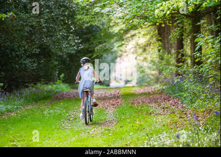 Mädchen in Schuluniform und Helm Reiten Fahrrad entlang einer von Bäumen gesäumten Country Track Stockfoto