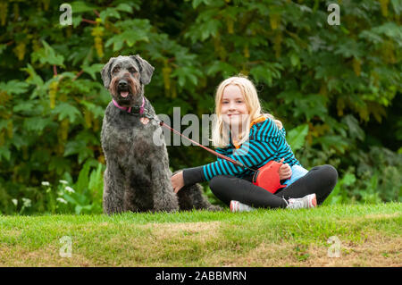 Hübsche, junge blonde Mädchen, Blickkontakt beim Sitzen auf Gras mit gut erzogene Schwarz labradoodle Hund an der Leine Stockfoto