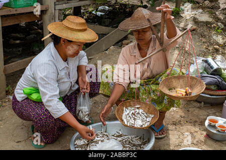 Weibliche Fischhändler in traditionellen Konischen asiatischen Hut & sarong bereiten Fisch für den Verkauf in der Kanne Dorf Markt durch den Chindwin Fluss, Myanmar (Birma) Stockfoto