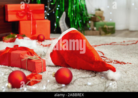 Weihnachten Kätzchen Schwanz in Santa Clause hat. Lustige kleine Kätzchen spielt mit Weihnachtsdekor. Tabby kitten. Weihnachten Konzept präsentiert. Close Up, Kopieren spac Stockfoto