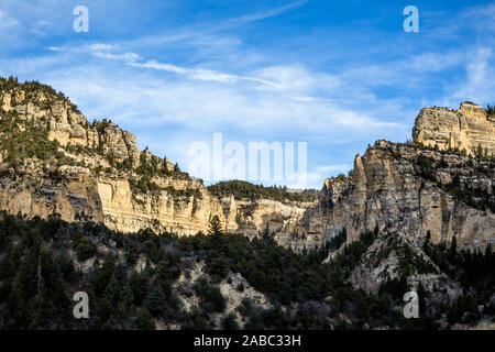 Cedar Canyons weiß sandstein Schichten in den schroffen Schlucht im südlichen Utah ausgesetzt. Stockfoto