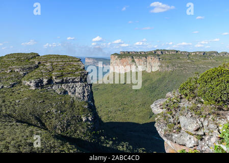 Cerrado Landschaft der Chapada Diamantina Nationalpark (Parque Nacional de Chapada Diamantina). Lencois, Bahia, Brasilien. Stockfoto