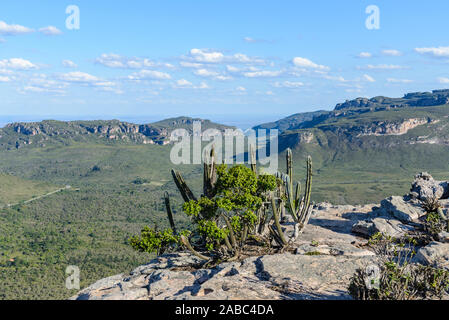 Cerrado Landschaft der Chapada Diamantina Nationalpark (Parque Nacional de Chapada Diamantina). Lencois, Bahia, Brasilien. Stockfoto