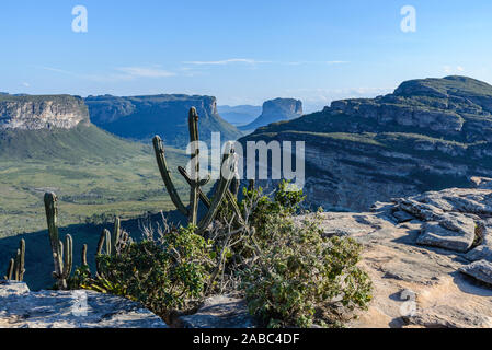 Cerrado Landschaft der Chapada Diamantina Nationalpark (Parque Nacional de Chapada Diamantina). Lencois, Bahia, Brasilien. Stockfoto