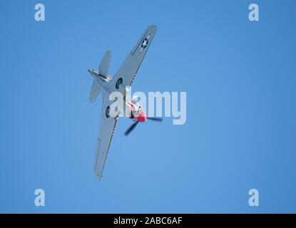 MONROE, NC (USA) - 9 November, 2019: eine P-40 Warhawk Jagdflugzeug im Flug bei den Warbirds über Monroe Air Show. Stockfoto