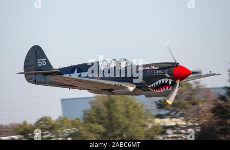 MONROE, NC (USA) - 9 November, 2019: eine P-40 Warhawk Fighter fliegt in den Baumkronen auf der Warbirds über Monroe Air Show. Stockfoto