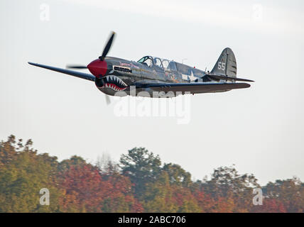 MONROE, NC (USA) - 9 November, 2019: eine P-40 Warhawk Fighter fliegt in den Baumkronen auf der Warbirds über Monroe Air Show. Stockfoto