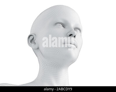 3D-gerenderte Medizinisch genaue Abbildung eines weiblichen Drahtmodell Kopf Stockfoto