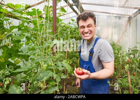 Crazy man Lächeln perfekt Gesunde toothy Lächeln - Humor. breit und zeigt weiße Zähne. Ernte Tomaten in einem Gewächshaus. Zahnheilkunde Konzept. Stockfoto