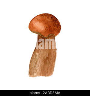 Aquarell Pilz Abbildung auf weißem Hintergrund. Hand essbare porcino Pilz gezeichnet. Sommer oder Herbst Wald Ernten. Küche Textil Stockfoto