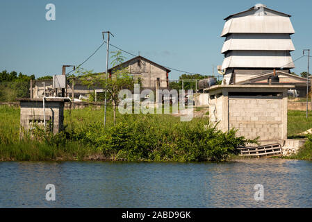 Orange County, Belize - November, 16, 2019. Rum Fabrik auf Neuen Fluss gelegen, auf dem Weg nach Lamanai Ruinen im Norden von Belize. Stockfoto