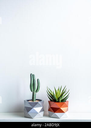 Cactus pot. Wunderschön bemalte konkrete Pot. Grüne Kakteen und sukkulenten Pflanzen in geometrischen konkrete Pflanzmaschinen, Kupfer und Silber lackiert auf weißem Holz- Stockfoto