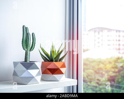 Cactus pot. Wunderschön bemalte konkrete Pot. Grüne Kakteen und sukkulenten Pflanzen in geometrischen konkrete Pflanzmaschinen, Kupfer und Silber lackiert auf weißem Holz- Stockfoto