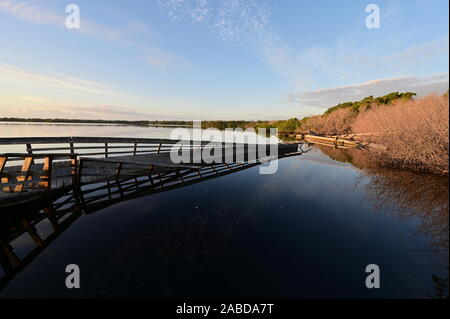 Boardwalk auf dem West See in den Everglades National Park, Florida stark durch den Hurrikan Irma 2017 beschädigt an einer ruhigen Winter morgen. Stockfoto