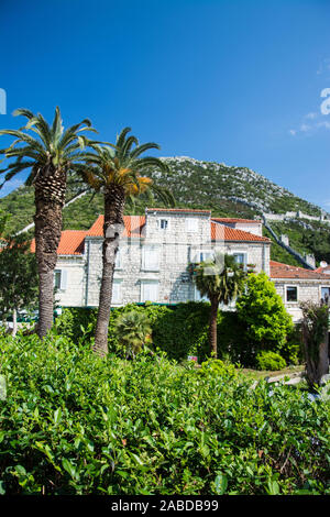 Ston ist eine Kleinstadt auf der Halbinsel Pelješac im Süden Kroatiens. Sie Technologie zur Gespanschaft Dubrovnik-Neretva. Stockfoto