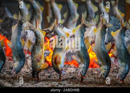 Fisch Ayu mit Salz, Holzkohle gegrillt in Tochigi in Japan. Stockfoto