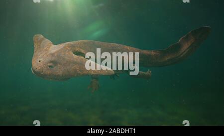 Diplocaulus, erloschenen Amphibien aus dem späten Karbon, Perm Stockfoto