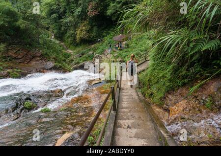 Backpacker Touristen erkunden den Nationalpark in Vietnam Stockfoto