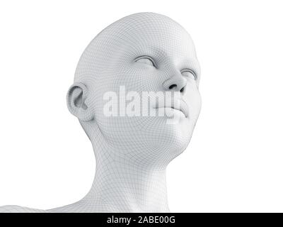 3D-gerenderte Medizinisch genaue Abbildung eines weiblichen Drahtmodell Kopf Stockfoto