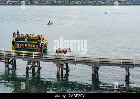 Victor Harbor, Australien - 11 November, 2017: von Pferden gezogene Straßenbahn auf dem Weg nach Granite Island Stockfoto