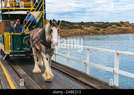 Victor Harbor, Australien - 11 November, 2017: von Pferden gezogene Straßenbahn auf dem Weg nach Granite Island Stockfoto