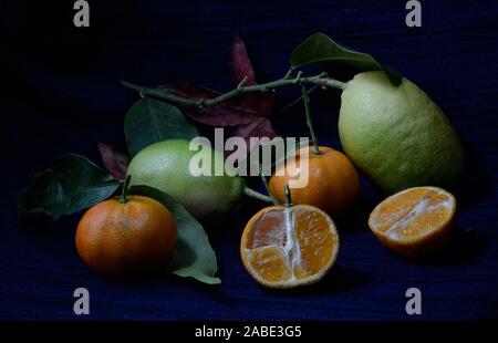 Nahaufnahme von Tangerine ganze und Open-face mit grüner Zitrone mit Ahorn Blätter im Herbst Farben auf einem schwarzen und dunklen blauen Hintergrund Stockfoto
