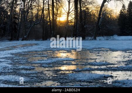 Winterlandschaft mit Sonnenaufgang über einem Schneefeld mit gefrorenen Pfützen in den frühen Morgenstunden Stockfoto