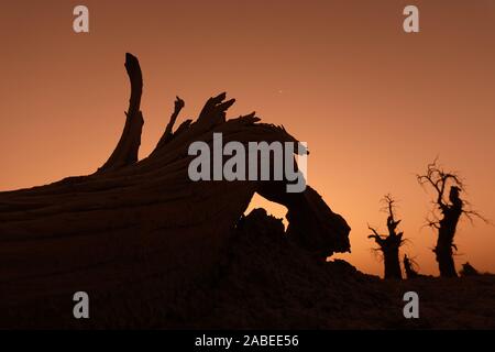 Die Ansicht von sunrise mit cucoloris der Wüste Pappel im Tarimbecken, ein endorheic Becken auf einer Fläche von ungefähr 1,020,000 Quadratkilometern, in Stockfoto