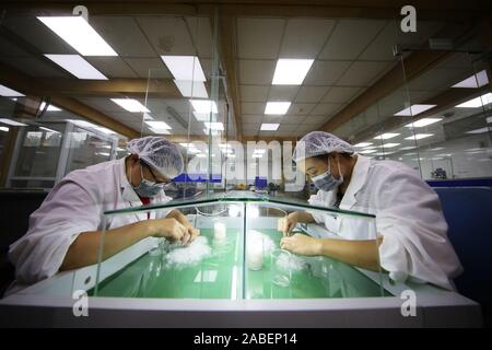 Arbeitnehmer Jacken in einem Werk von Bosideng, der führende chinesische Daunenjacke brandk, der gerade seine erstaunliche Debüt an der Mailänder Modewoche 2010, Stockfoto