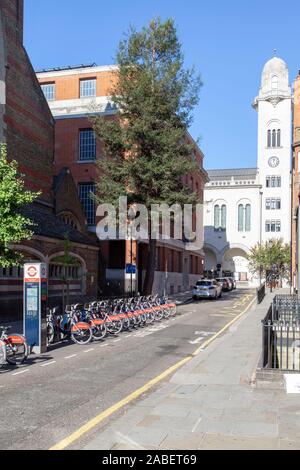 Coastal Redwood (Sequoia sempervirens) wird als Straßenbaum in der Nähe der Cadogan Hall in Chelsea, London, Großbritannien, verwendet Stockfoto