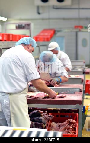 Arbeitsplatz Lebensmittelindustrie - Metzgerei Fabrik für die Produktion von Wurst - Metzger schneidet Fleisch Stockfoto