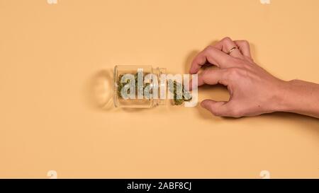 Ein Glas bank mit frischen Marihuana Knospen in den Händen eines Mannes. Flach, Ansicht von oben. Konzept der Kräuter- und alternative Medizin Stockfoto