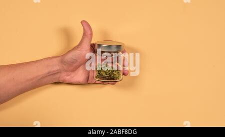 Ein Glas bank mit frischen Marihuana Knospen in den Händen eines Mannes. Flach, Ansicht von oben. Konzept der Kräuter- und alternative Medizin Stockfoto