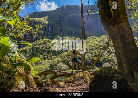 Poço da Ribeira do Ferreiro, Flores, Azoren, Portugal Stockfoto