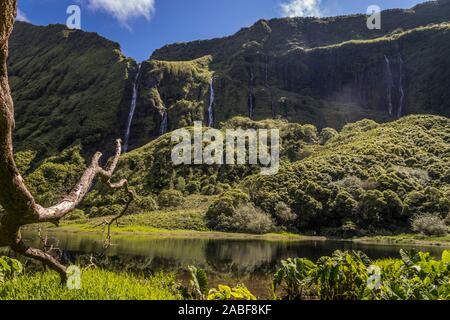 Poço da Ribeira do Ferreiro, Flores, Azoren, Portugal Stockfoto