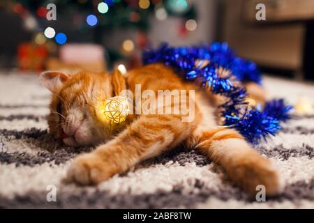 Ginger Cat spielt mit Girlanden und lametta unter dem Weihnachtsbaum. Weihnachten und Neujahr Konzept Stockfoto