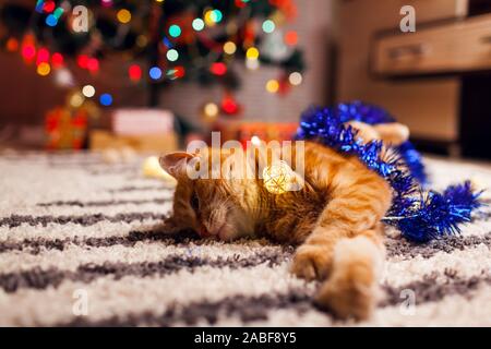 Ginger Cat spielt mit Girlanden und lametta unter dem Weihnachtsbaum. Weihnachten und Neujahr Konzept Stockfoto