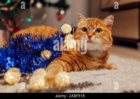Ginger Cat spielt mit Girlanden und lametta unter dem Weihnachtsbaum. Weihnachten und Neujahr Konzept Stockfoto
