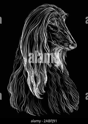 Afghan Hound Dog Vektor hand Zeichnung Abbildung in der Farbe Weiß auf schwarzem Hintergrund Stock Vektor
