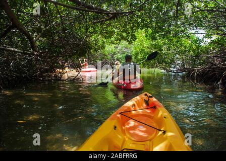 Eine Gruppe von Touristen auf den Weg für eine geführte Kajaktour in der Lac Bai Mangrove finden auf Bonaire, Karibik Stockfoto