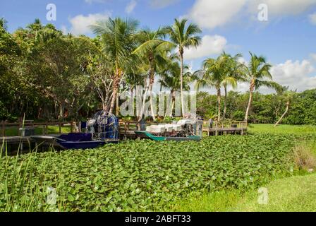 Everglades-Nationalpark, Florida Stockfoto