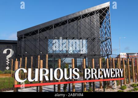 Curious Brauerei, Mikrobrauerei, ashford, kent, großbritannien Stockfoto