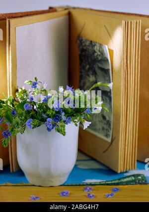 Blumenstrauß mit wilden Blumen in weißer Keramik Vase vor Fotoalbum mit alten Schwarz-Weiß-Fotografie der sowjetischen Soldaten, Nahaufnahme, Kopie, Stockfoto