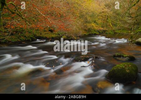 Fluss East Dart in der Nähe von dartmeet in Dartmoor, Devon im Herbst Stockfoto