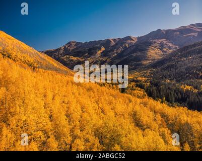 Luftbild der schönen gelben Herbst Aspen Baum Blätter. Aspen, Colorado Rocky Mountains. USA Stockfoto