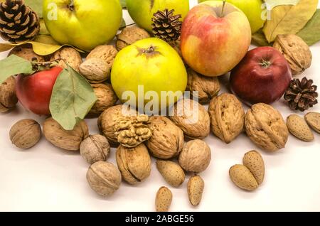 Reif im Herbst Äpfel, Quitten, Kaki mit Walnüssen und Mandeln unter den Kegel und trockenen vergilbte Blätter Stockfoto